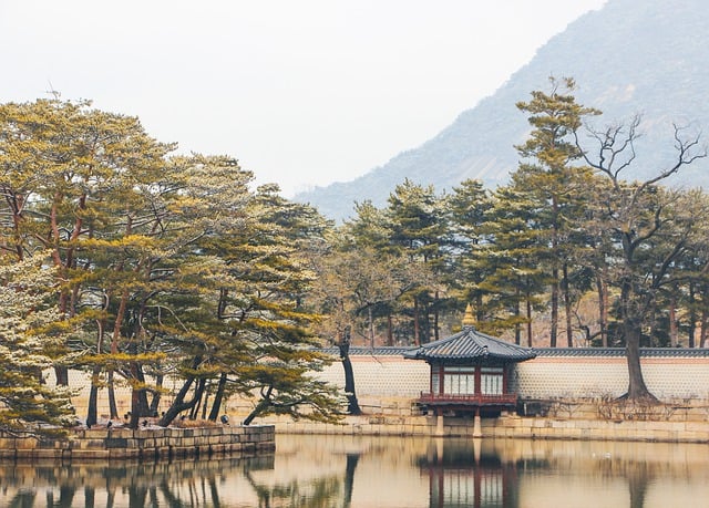 조선은 어떻게 성리학 국가가 되었는가