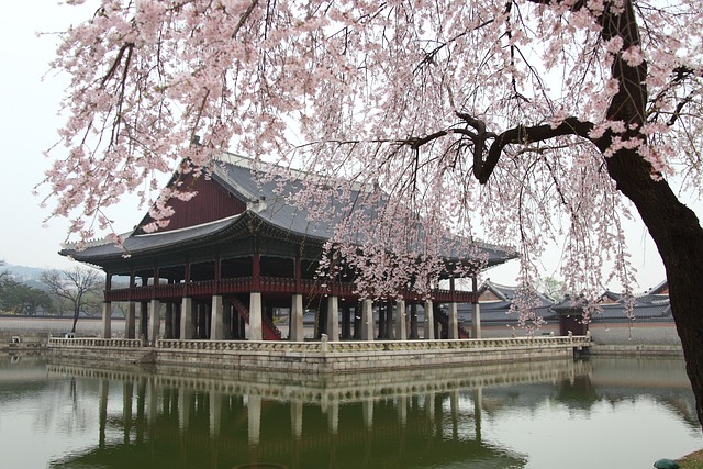 세종대왕의 정치 철학을 알면 조선이 보인다