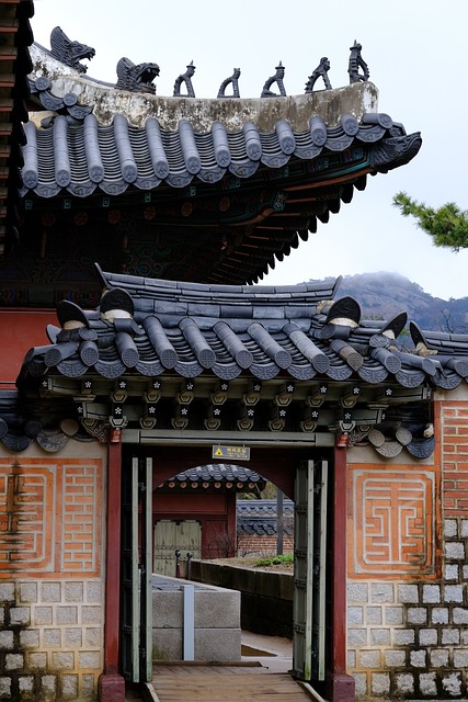 3·1운동 그 민족적 의의와 한국 독립운동의 흐름 알기 꼭 기억해야 할 역사
