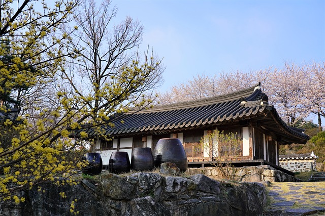 5·18 민주화운동 한국 민주주의 발전에 미친 영향 분석하기 꼭 알아야 할 진실